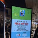 뮤직 | [서울] 한강 유람선 여의도 달빛뮤직크루즈 후기