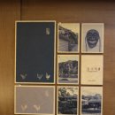 홍수계찜닭 잠실타워730점 | 잠실역맛집 홍수계찜닭 잠실타워730점 방문솔직후기