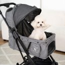 펫 투게더 이미지