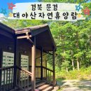 문경 대야산 자연휴양림 연립동 숙박 후기 및 계곡 물놀이