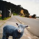 2015년 을미년(乙未年) 양의 해(靑羊/청양띠) 이미지