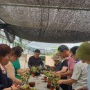 반려식물상담지도사1급 과정 실습 과정을 사단법인 한국반려식물협회에서 실시하였습니다. 031-282-2996 이미지