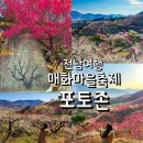 (유)한국에프앤비 | 광양 매화마을 포토존 BEST 매화축제 사진 명소 정리