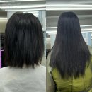 가발1번지 | 충장로 붙임머리 리터치 1회차 후기