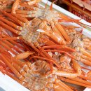 알찬대게 이미지