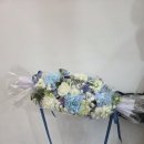 진선미유치원 이미지