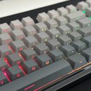 앱코 | 내돈내산 타건감 좋은 텐키리스 게이밍 기계식 키보드 추천, 앱코 AK87 다크 그라데이션 멜론축