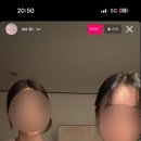 플러피 홀리데이 이미지