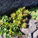 석병의 바다 이미지