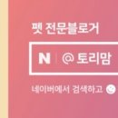 개전부리 네이버블로그
