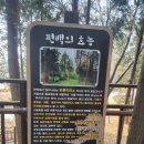 늘솔길숲이야기(양떼목장)후기