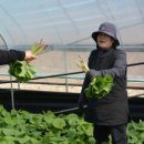 양촌농원 이미지