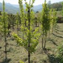 고향농장 이미지