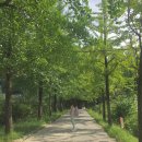 차 없어도 괜찮아. 경북 영주&amp; 충북 단양편, 1박 2일