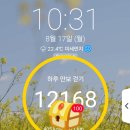 8월17일 월요일 만보걷기(어제껏) 이미지