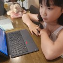 그로우타임잉글리쉬 | 캐츠 잉글리시와 함께 한 지난 6개월