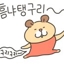 지니코인노래연습장 이미지