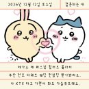 더이은컨설팅 | W4 웨딩 컨설팅 / 부산 전포 더해브 / 퍼스널, 골격, 웨딩 컨설팅 후기
