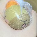 천복목장 | 2024 여름방학