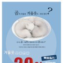 크린위드 이미지