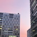 나약국 | [직장인 일상] 8월 황금연휴 | 강원도 인제 내린천 래프팅 후기