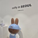 6719 | 서울 성수 가볼만한곳 미피스토어 데님 미피 내돈내산 후기