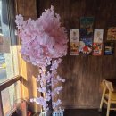 뽑기조아 | 창원 산호동 작은 일본 "규쇼쿠", 니쿠모리+전골 제대로 먹고 온 후기