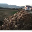 자가농장 이미지