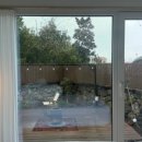 평대이락 이미지