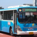 사파동221 이미지