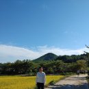 버섯공인중개사사무소 이미지