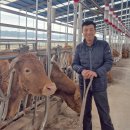 대양목장 이미지