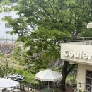 샘말로 | 수지 브런치카페 추천, 자연 감성 가득한 코울러 Couler 후기