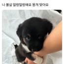깜냥 이미지