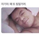 삼이일공커피공장 | 동물의 숲 양재로 오세요🤍 [리틀올리브/삼이일공커피공장]