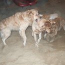 봉무공원 놀이터 이미지