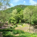 쉬자파크 이미지