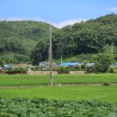 마을회관 이미지