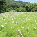 거북다목적회관 이미지