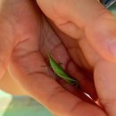 해동초등학교 이미지