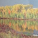 약초사랑동의보감 - 중랑구 겸재로50길 33 | 약초사랑동의보감