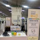 한국방역안전센터 | [한국교통안전공단] '오늘도 무사고' 수원역 환승센터에서 캠페인 체험 후기🚉🚦