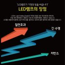 G-LED조명 이미지
