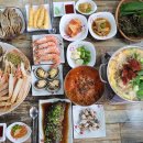 죽도해삼 이미지