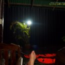 맛맛나식당 이미지