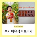 아기 후기 이유식 - 파프리카 큐브 찜기, 손질법, 조합 식재료는?