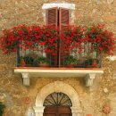 창가의 풍경 이미지