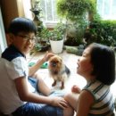 해바라기 하나 이미지