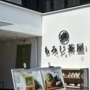 (주)디자인하암 | #12 [가마쿠라 여행]_신주쿠역 가마쿠라 패스, 가마쿠라 고마치도리, 하치만궁