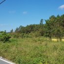 남창농장 이미지